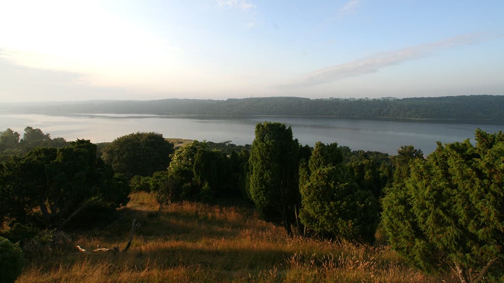 Fishing Spot at Bramslev Bakker