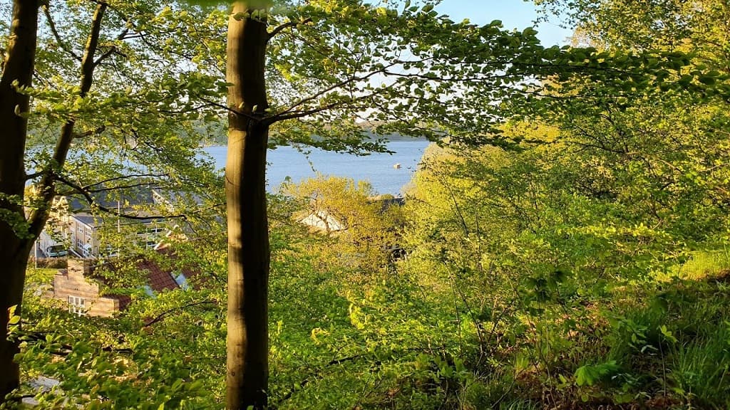 Østerskoven i Hobro